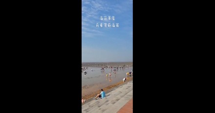 海邊尋寶，劉家灣趕海園—泰安金輝國(guó)旅