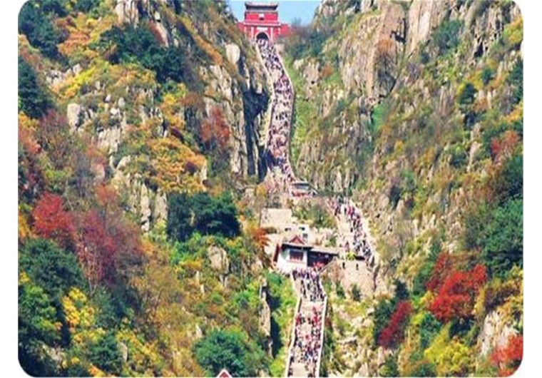 泰山門票價格