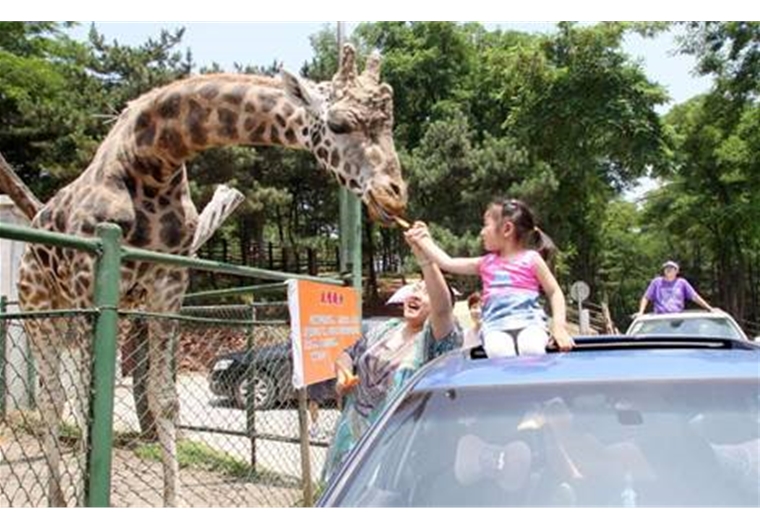 【國慶】濟南野生動物園